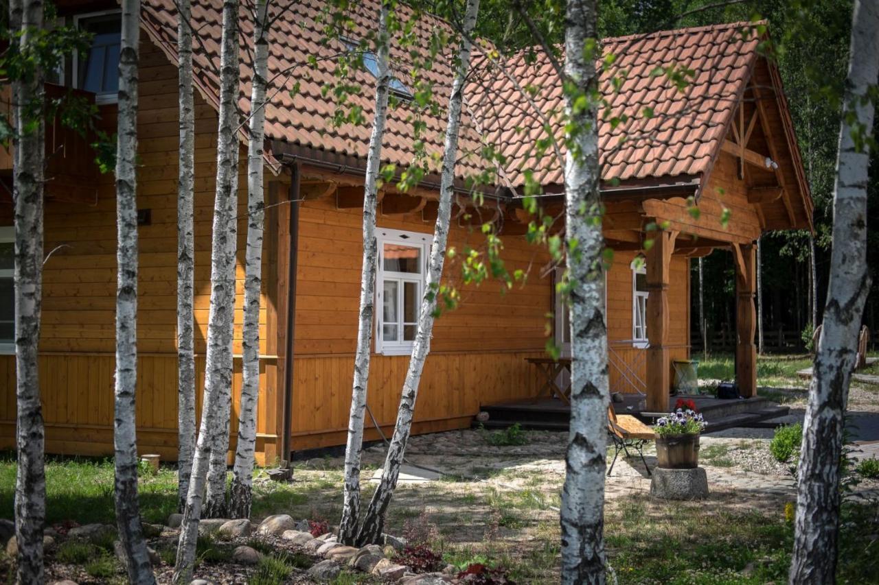 Miodowa Kolonia Bed & Breakfast Bialowieza Luaran gambar
